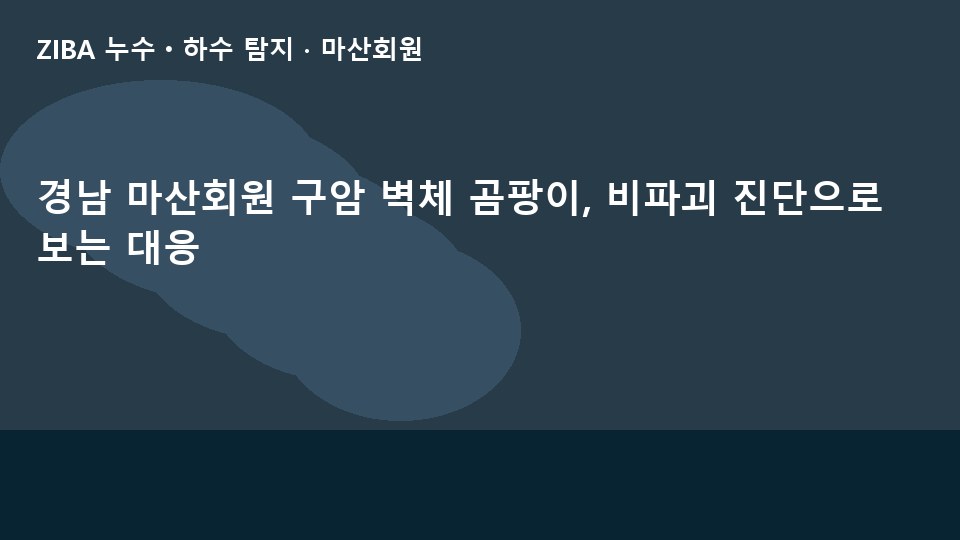 경남 마산회원 구암 벽체 곰팡이, 비파괴 진단으로 보는 대응